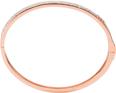 Bracelet Jonc Michael Kors Logo MK Argent 925 et Or Rose — vue 2